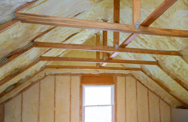 Best Types of Insulation in Belle Rose, LA